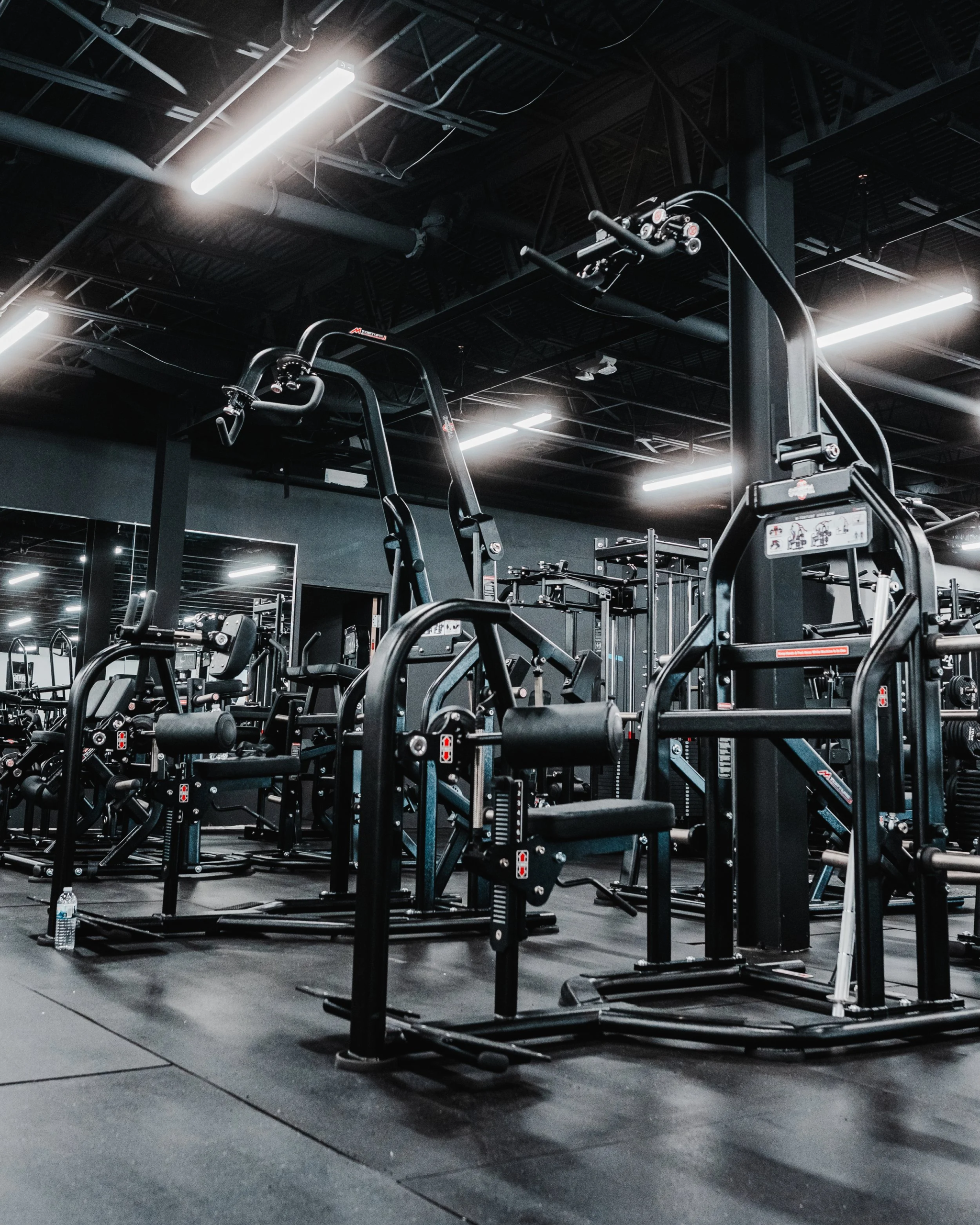 Champs Elysium Gym Interior